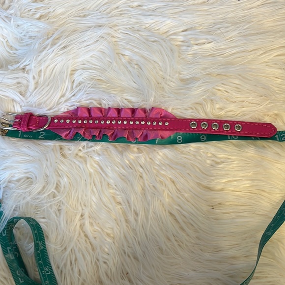 Dog collar - Picture 6 of 6